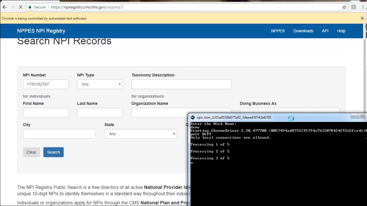 NPI Registry Automation