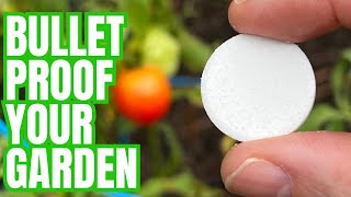 Vegetables will instantly grow, will not get diseases, and produce a MASSIVE harvest.