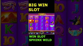 BIG WIN SLOT SPHINX WILD! Massive Wins in the Desert – Slot Max Win