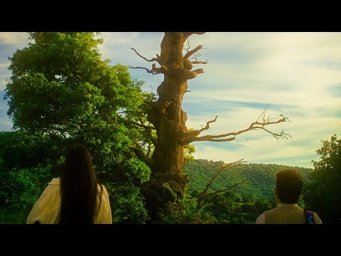 Dina Jashari - Rastenija bez koren (Official Video)