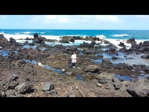 Memories from Maui | Drone Footage | Ishraq & Alvina