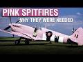 The Logic Behind Pink Spitfires in WW2 | Rex Explains DEFAULT Thumbnail