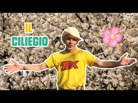 GIOVA LOVES NATURE 🌳 - Ep.4 - Il cuore tenero del CILIEGIO