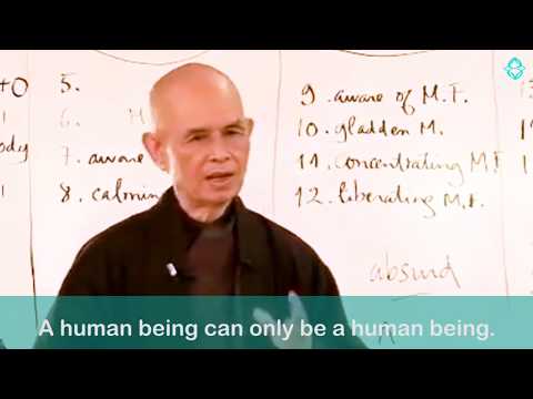 The Zen of Science - Consciousness & Quantum Physics