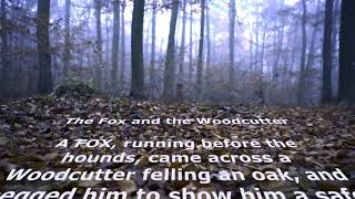 Aesop’s Fables The Fox and the Woodcutter