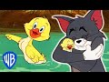 Tom Jerry Em Português O Melhor Do Patinho Compilação De Animações Clássicas WB Kids