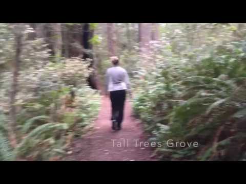 Video highlights from our time in Redwood National Park