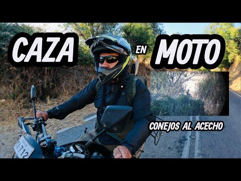 CAZA DE CONEJOS AL ACECHO / RIFLE P15 / ÚLTIMO VIDEO 2025