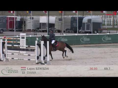 DIANA (Coupe de Coeur/Carthago) am 1.04.2018 im 1,35 m Springen im Magna Racino