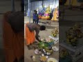 Family Vinayakar Poojai