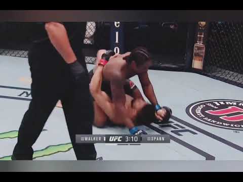 JOHNNY WALKER VS RYAN SPANN  HIGHLIGHTS