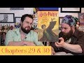 Harry Potter The Deathly Hallows Chapters 29 30