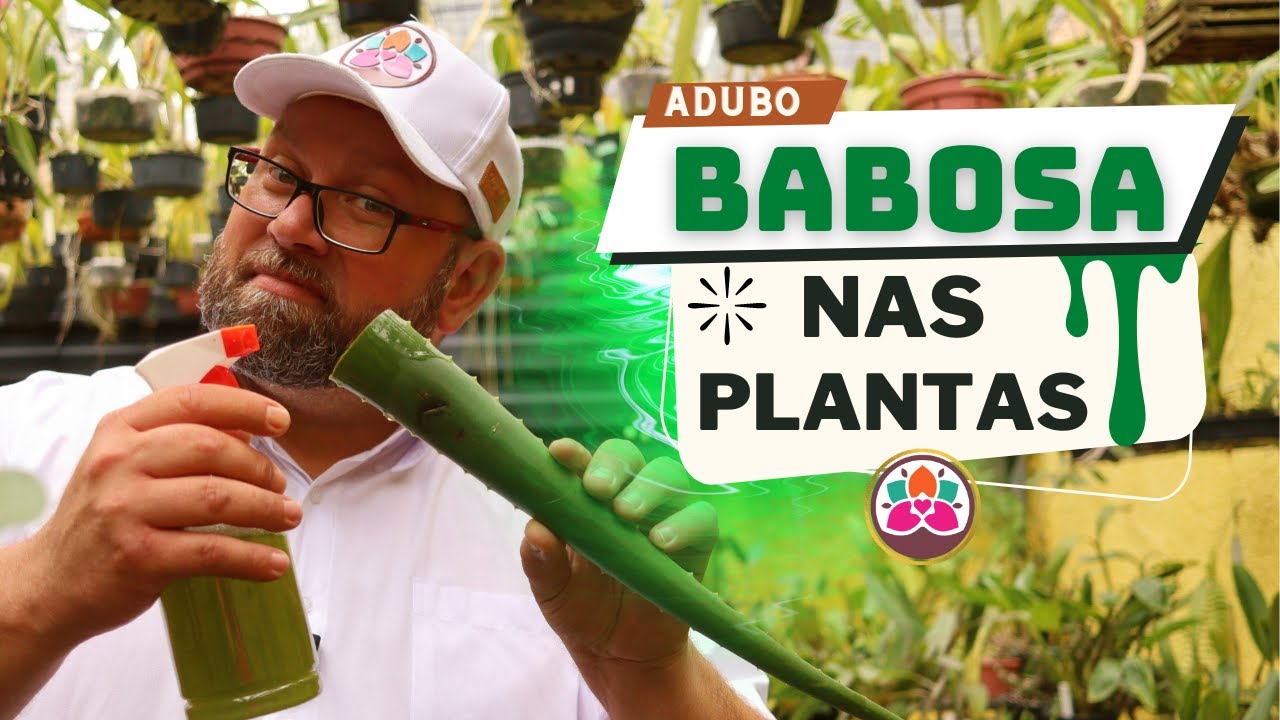 ALOBE: CLEOPATRA'S miraculous FERTILIZER for your PLANTS - THE TRUTH