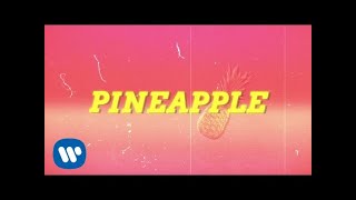 Ty Dolla $ign - Pineapple feat. Gucci Mane &amp; Quavo [Lyric Video]