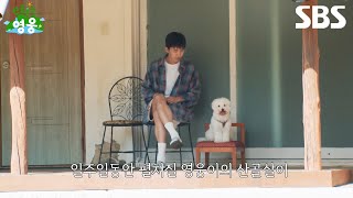 [1차 티저] 깊은 산속에 숨은 영웅이네 집💚 일주일 동안 펼쳐질 영웅이의 산골살이가 궁금하다면?! | 산골총각 영웅 | SBS