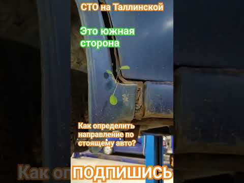 Как найти север или юг по автомобилю? #автосервис #сто #фит #тюмень #ремонт #фитсервис #приколы