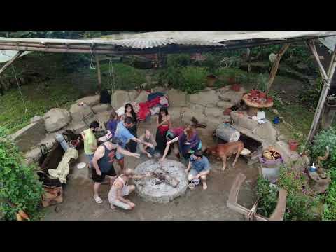 Costa Rica Preservation of Sacred Plants The Living Library