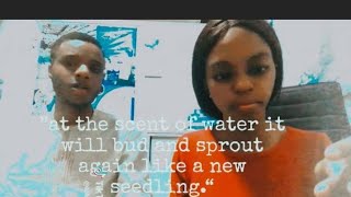 Ministrations|Gbemileke Micah and Chinonye Aniagolu|