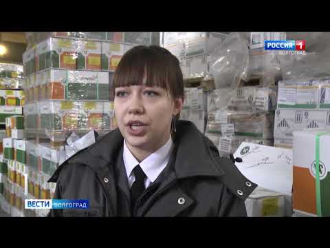 Специалисты Управления Россельхознадзора проводят проверку партий семенного материала в Волгоградской области