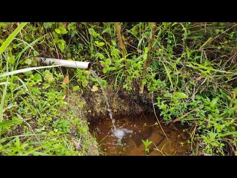 Sítio à venda em barra de Guabiraba PE 7 hectares escritura $110 mil reais 