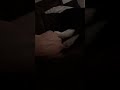 Tiny Kitten ASMR Her Purrs Are SO LOUD