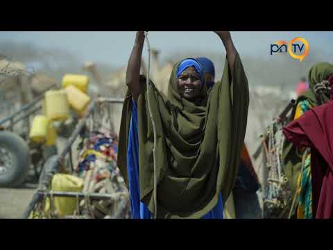 Nothing Short of a Miracle | How One Borehole Is Transforming 3,000 Lives in Wajir
