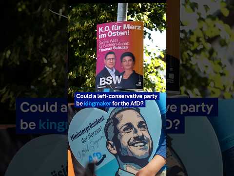 Could a left-conservative party be kingmaker for the AfD? | DW News