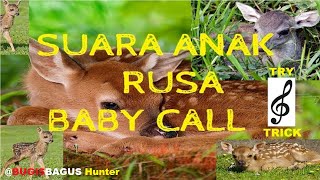 Download lagu Suara Anak Rusa, Deer Baby Call Sound Trick Hunt mp3