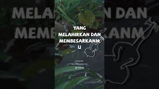 Download lagu Story WA Keramat versi reggae mp3