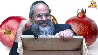 הלכות סימני ראש השנה - הרב אליהו אסולין (קו ההלכה הספרדי) - התמונה מוצגת ישירות מתוך אתר האינטרנט יוטיוב. זכויות היוצרים בתמונה שייכות ליוצרה. קישור קרדיט למקור התוכן נמצא בתוך דף הסרטון הלכות סימני ראש השנה - הרב אליהו אסולין (קו ההלכה הספרדי) - התמונה מוצגת ישירות מתוך אתר האינטרנט יוטיוב. זכויות היוצרים בתמונה שייכות ליוצרה. קישור קרדיט למקור התוכן נמצא בתוך דף הסרטון