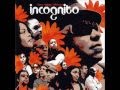 INCOGNITO. "Everybody Loves The Sunshine". 2007. version album "Bees+Things+Flowers".