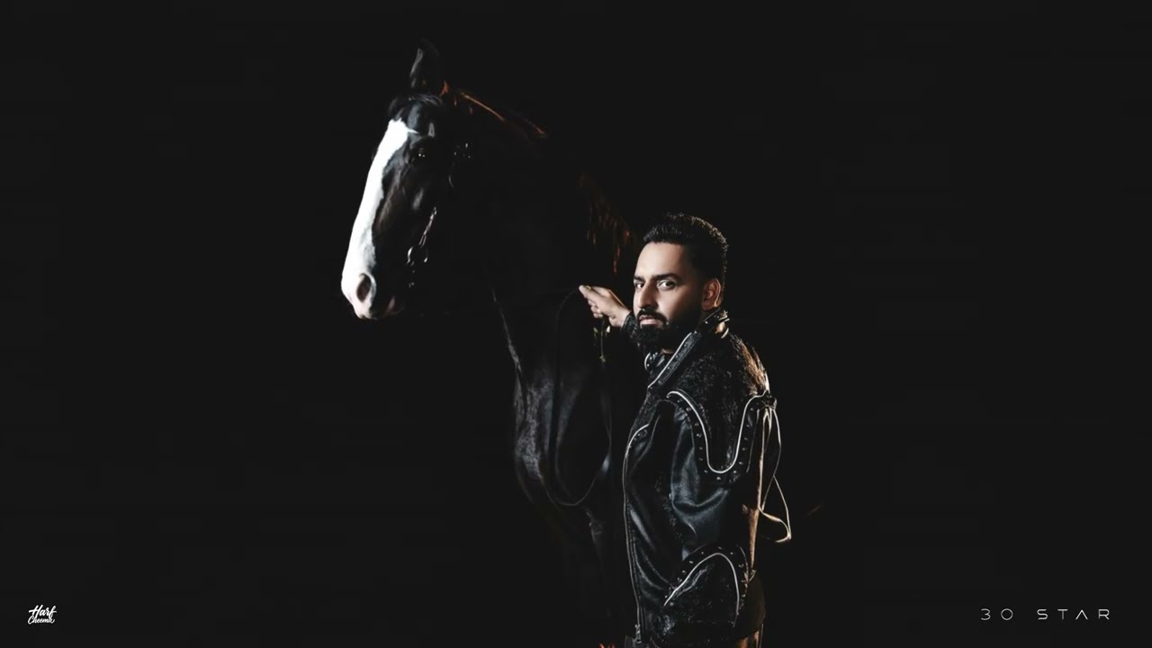 30 Star Lyrics | Bloodline (Purity Matters) | Harf Cheema