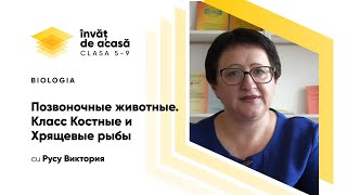  "Позвоночные животные. Класс Костные и Хрящевые рыбы"