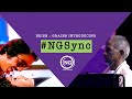 NGSync Ninaivo Oru Paravai Ilaiyaraaja Live In Concert Sigappu Rojakkal