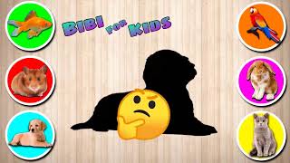 FAVORITE ANIMALSDog, Fish, Cat, Hamster, Rabbit, Parrot