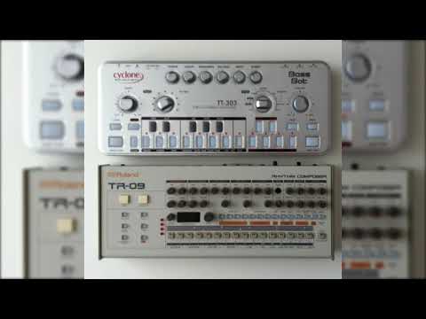 VeganBro01/038 Tr 09 + TT 303 Bassbot Acid Techno