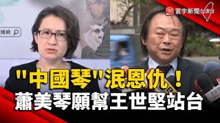 Re: [討論] 陳其邁可以選總統了