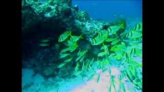 Sonata Arctica - Somewhere Close To You