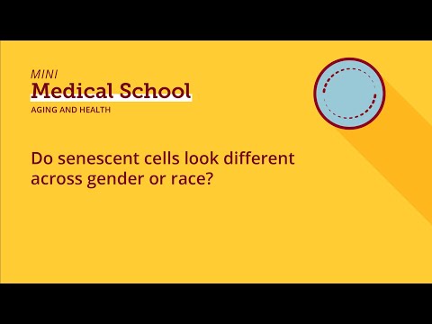 Do senescent cells look different across gender or race?