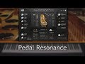 Video 4: Pedal Resonance