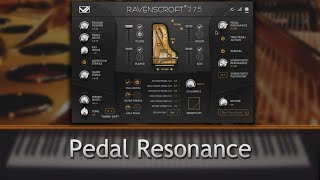 Video thumbnail for Ravenscroft 275 by VI Labs - Pedal Resonance by vilabsaudio