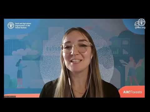 Aumentar la transparencia de los datos forestales para la acción por el clima