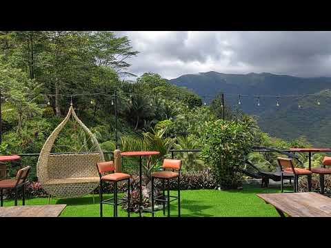 Laview😍 #shorts #stressfree stressfree