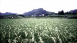 preview picture of video 'Kamogawa RiceFields'
