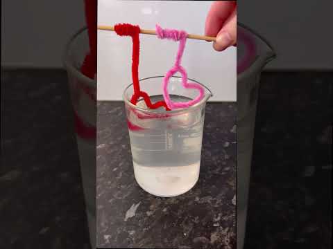 Grow your own crystals overnight! #crystal #science #experiment