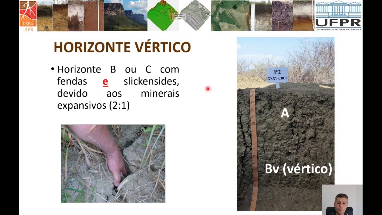 Classificação de solos - horizontes diagnósticos