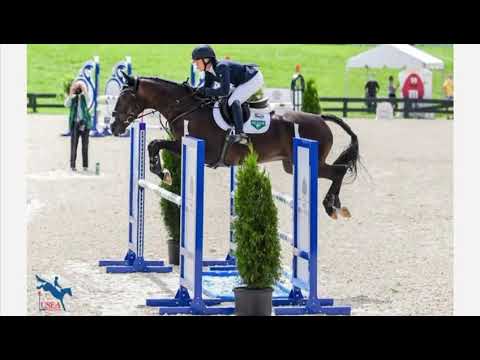 Cheap little Project Mare - Image 2