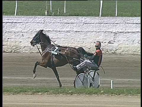 Trotto 23/04/2017 - 1ª corsa