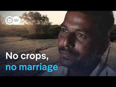 When the rains cease to fall - Indian farmers left alone | DW Documentary