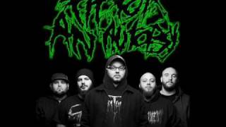 Fit For An Autopsy - The Jackyl